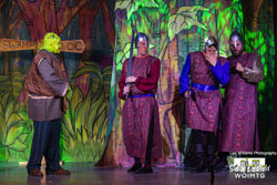 Shrek 11