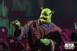 Shrek 24