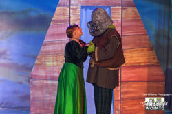 Shrek 30