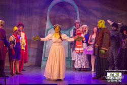 Shrek 55