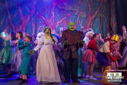 Shrek 60